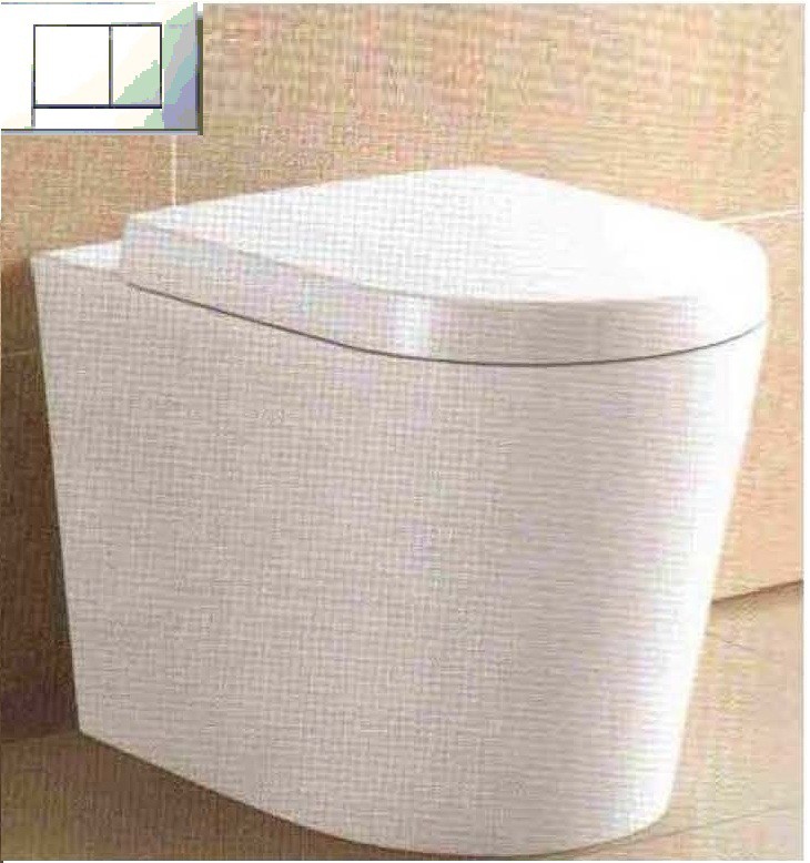 Bella Floor Pan and Geberit Cistern (include Dual Flush Push Plate)