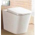 Amore Floor Pan and Geberit Cistern (include Dual Flush Push Plate)